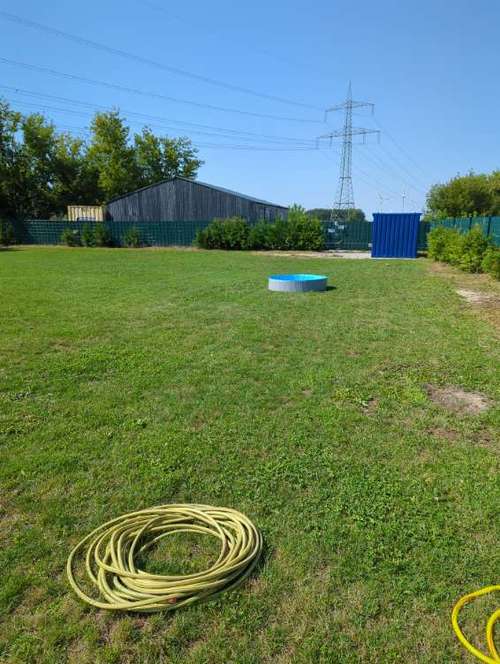 Hundeauslaufgebiet-Hundeplatz Nauen-Bild