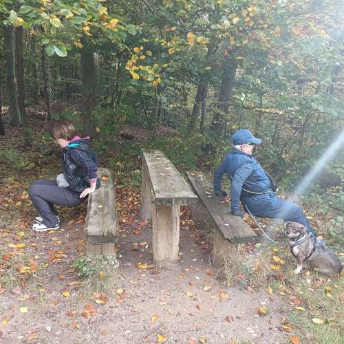 Hundeauslaufgebiet-Fuẞ & Pfoten Fit by Michaela Müller -Bild