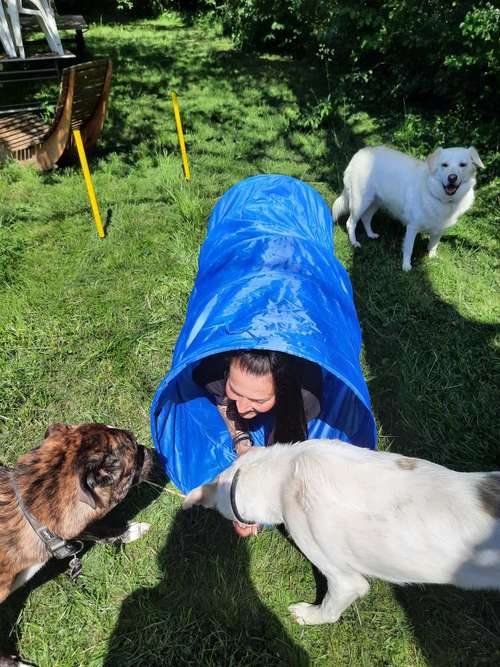 Hundeauslaufgebiet-Fuẞ & Pfoten Fit by Michaela Müller -Bild