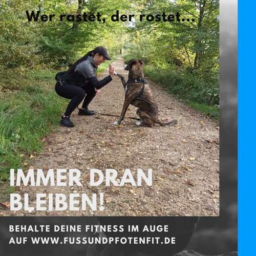 Hundeauslaufgebiet-Fuẞ & Pfoten Fit by Michaela Müller -Bild