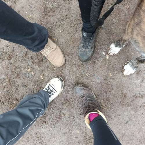 Hundeauslaufgebiet-Fuẞ & Pfoten Fit by Michaela Müller -Bild