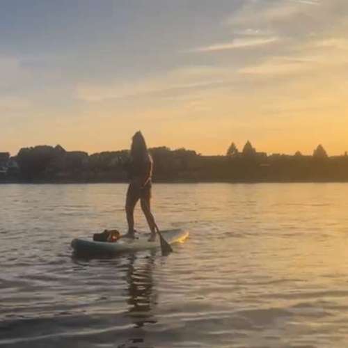 Hundeauslaufgebiet-Fuẞ & Pfoten Fit by Michaela Müller -Bild