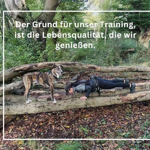 Hundeauslaufgebiet-Fuẞ & Pfoten Fit by Michaela Müller -Bild