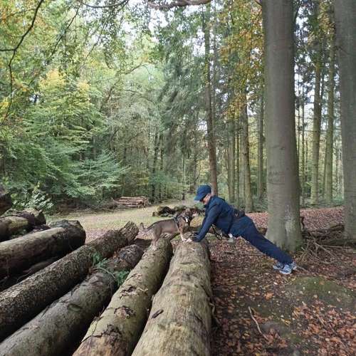 Hundeauslaufgebiet-Fuẞ & Pfoten Fit by Michaela Müller -Bild