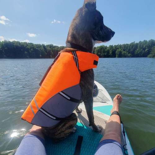 Hundeauslaufgebiet-Fuẞ & Pfoten Fit by Michaela Müller -Bild