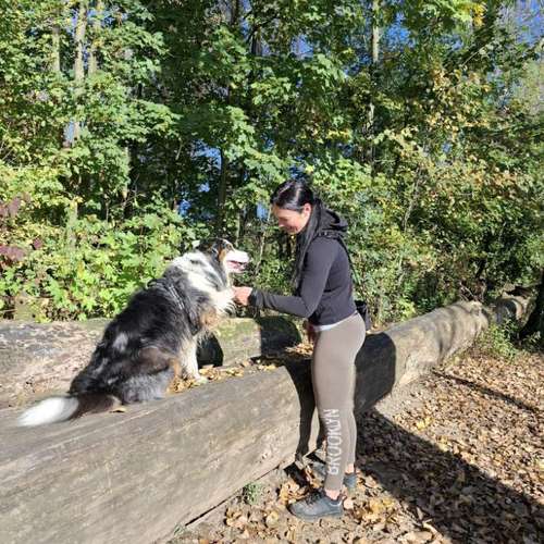 Hundeauslaufgebiet-Fuẞ & Pfoten Fit by Michaela Müller -Bild