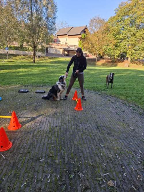 Hundeauslaufgebiet-Fuẞ & Pfoten Fit by Michaela Müller -Bild