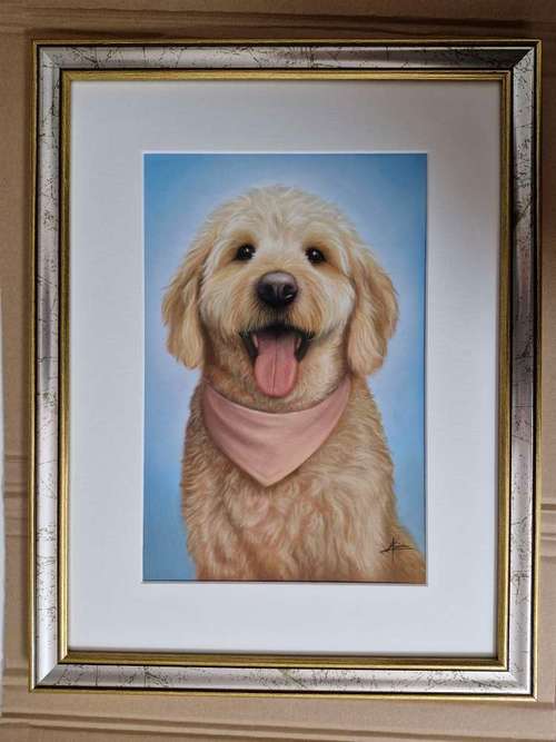 Hundeauslaufgebiet-Tierportraits & Tierkunst - Karina Kraus-Bild