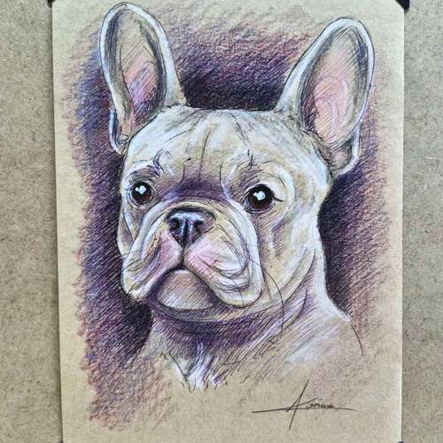 Hundeauslaufgebiet-Tierportraits & Tierkunst - Karina Kraus-Bild