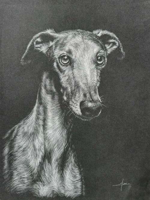 Hundeauslaufgebiet-Tierportraits & Tierkunst - Karina Kraus-Bild