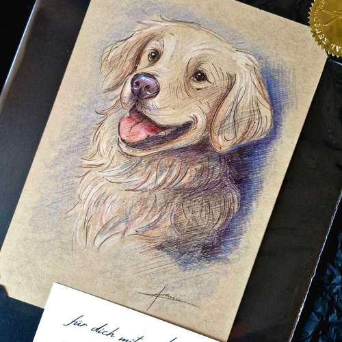 Hundeauslaufgebiet-Tierportraits & Tierkunst - Karina Kraus-Bild