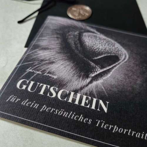 Hundeauslaufgebiet-Tierportraits & Tierkunst - Karina Kraus-Bild