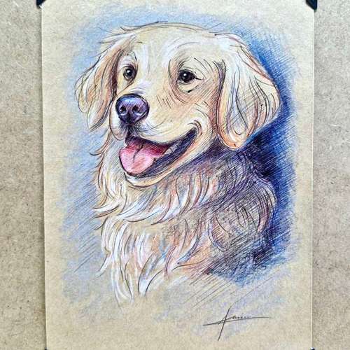 Hundeauslaufgebiet-Tierportraits & Tierkunst - Karina Kraus-Bild