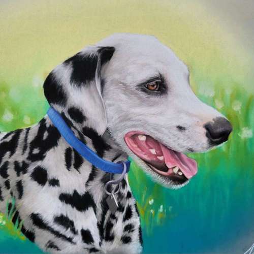 Hundeauslaufgebiet-Tierportraits & Tierkunst - Karina Kraus-Bild