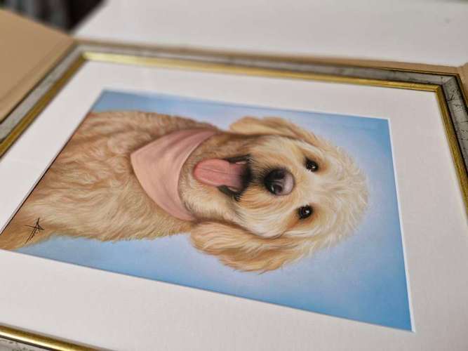 Hundeauslaufgebiet-Tierportraits & Tierkunst - Karina Kraus-Bild