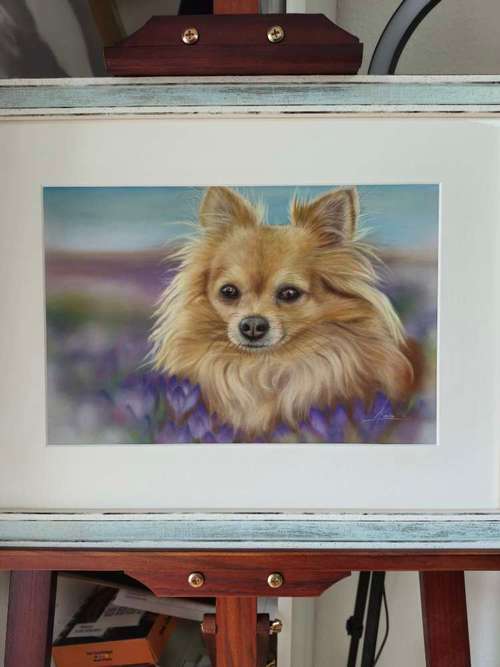 Hundeauslaufgebiet-Tierportraits & Tierkunst - Karina Kraus-Bild