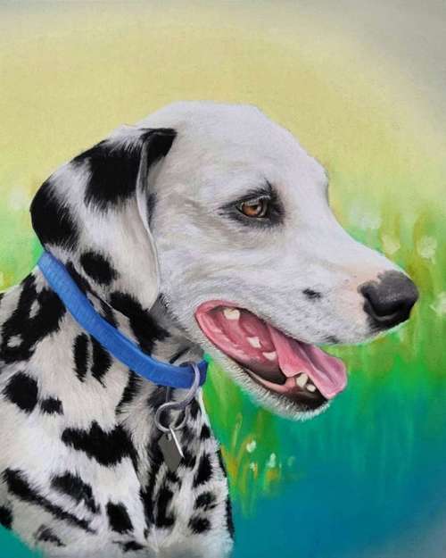 Hundeauslaufgebiet-Tierportraits & Tierkunst - Karina Kraus-Bild