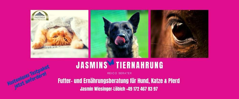 Hundeauslaufgebiet-Jasmins Tiernahrung-Bild