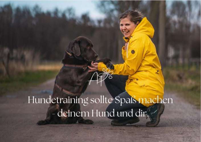 Hundeauslaufgebiet-Achtsame Pfoten | Mensch-Hund-Coaching-Bild