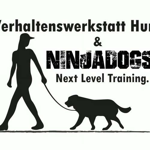 Hundeauslaufgebiet-Verhaltenswerkstatt Hund Hundetraining & Verhaltenstherapie / Fachberatung Aggression-Bild