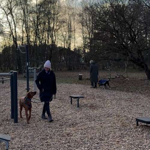 Hundeauslaufgebiet-Verhaltenswerkstatt Hund Hundetraining & Verhaltenstherapie / Fachberatung Aggression-Bild