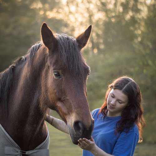 Hundeauslaufgebiet-justinafotografie-Bild
