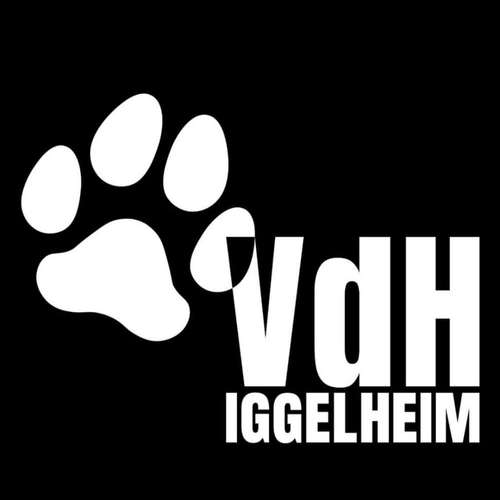 Hundeauslaufgebiet-Verein der Hundefreunde Iggelheim 1910 e. V.-Bild