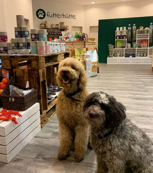 Hundeauslaufgebiet-futterhütte-Bild