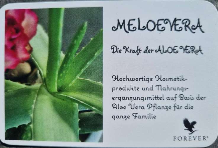 Hundeauslaufgebiet-Meloevera - Kraft der Aloe Vera-Bild