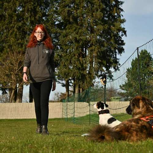 Hundeauslaufgebiet-ChaosHunde - Hundetraining-Bild