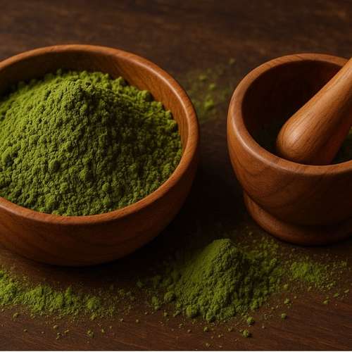 Hundeauslaufgebiet-DOGFOOD.Architects-Bild