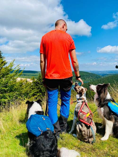 Hundeauslaufgebiet-Dogs Adventure Chiemgau -Bild