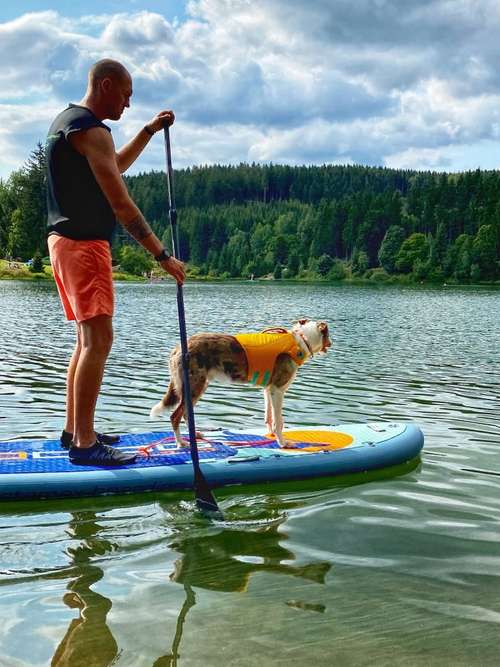 Hundeauslaufgebiet-Dogs Adventure Chiemgau -Bild