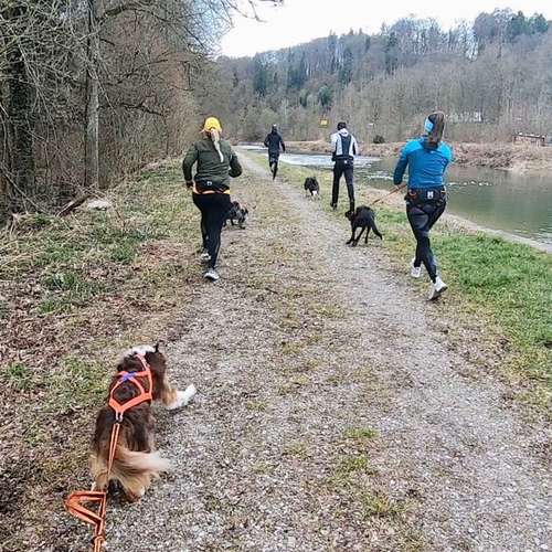 Hundeauslaufgebiet-Dogs Adventure Chiemgau -Bild
