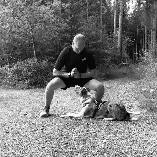 Hundeauslaufgebiet-Dogs Adventure Chiemgau -Bild