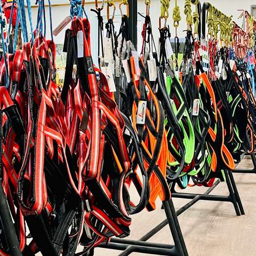 Hundeauslaufgebiet-Dogs Adventure Chiemgau -Bild