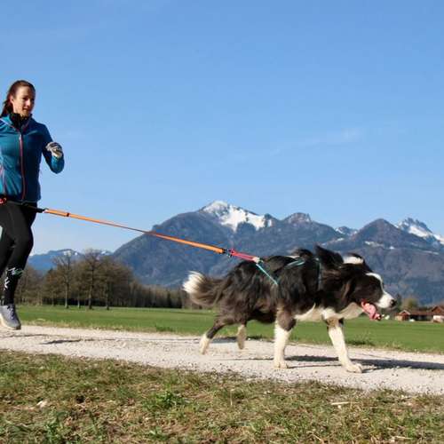 Hundeauslaufgebiet-Dogs Adventure Chiemgau -Bild