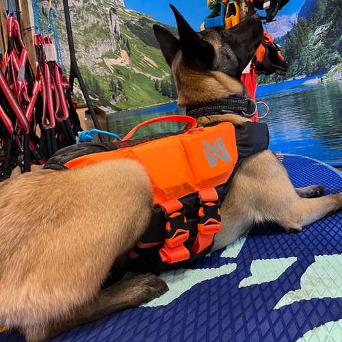 Hundeauslaufgebiet-Dogs Adventure Chiemgau -Bild