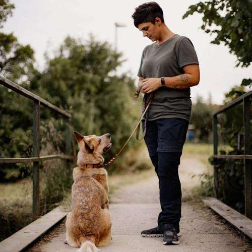 Hundeauslaufgebiet-Mehli's Hunderunde -Bild