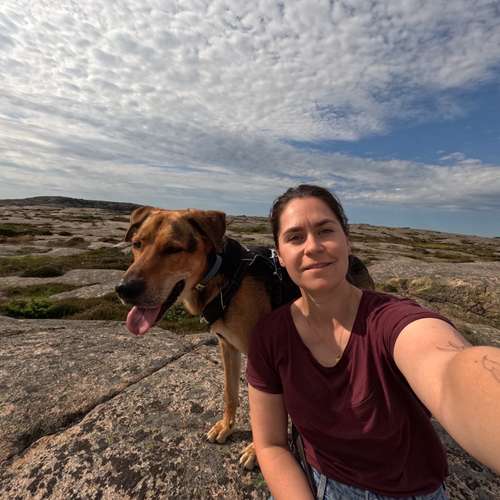 Hundeauslaufgebiet-Leinenlos_Rund um den Hund-Bild