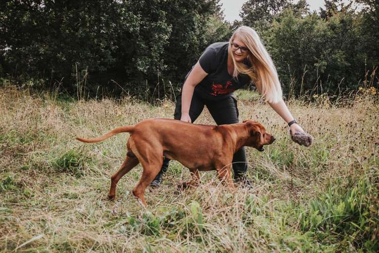 Hundeauslaufgebiet-CharakterHund-Bild