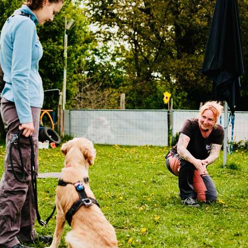 Hundeauslaufgebiet-Hundeschule Yvi's Pfotentreff-Bild