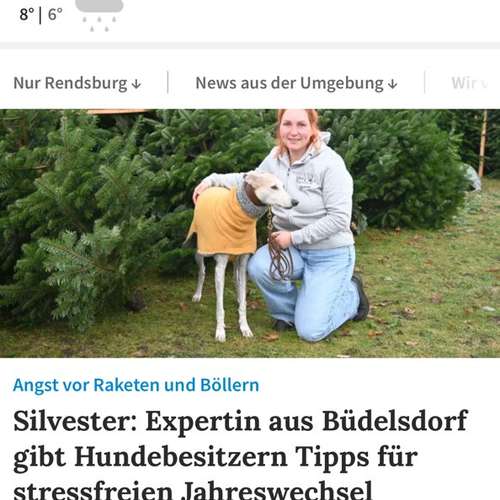 Hundeauslaufgebiet-Hundeschule Yvis Pfotentreff-Bild