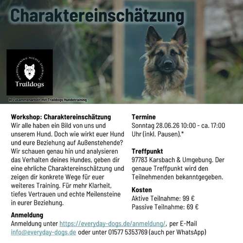 Hundeauslaufgebiet-Everyday Dogs Hundetraining-Bild