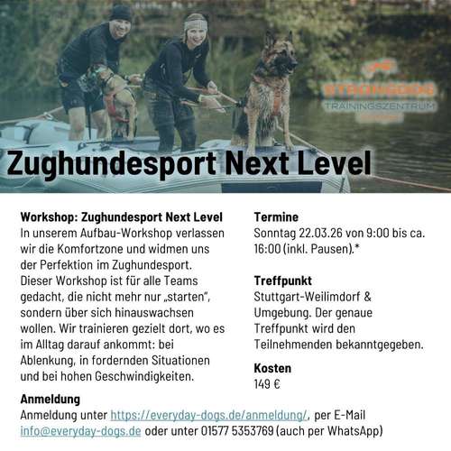 Hundeauslaufgebiet-Everyday Dogs Hundetraining-Bild