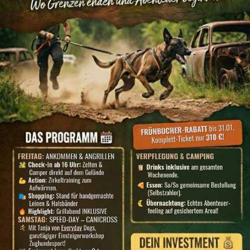 Hundeauslaufgebiet-Everyday Dogs Hundetraining-Bild