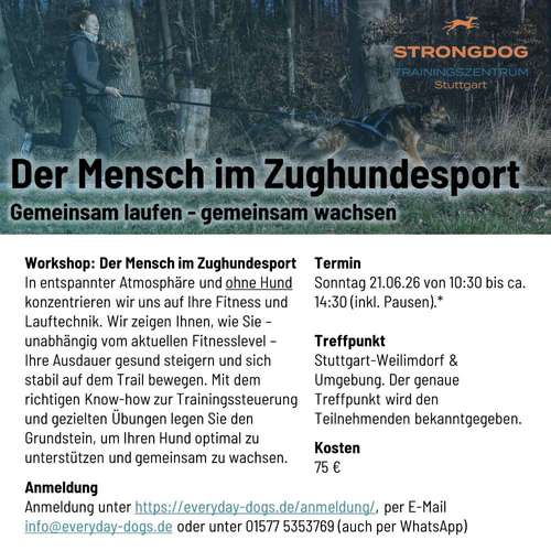 Hundeauslaufgebiet-Everyday Dogs Hundetraining-Bild
