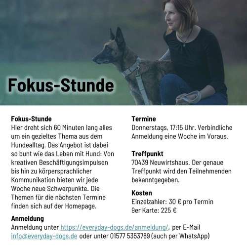 Hundeauslaufgebiet-Everyday Dogs Hundetraining-Bild
