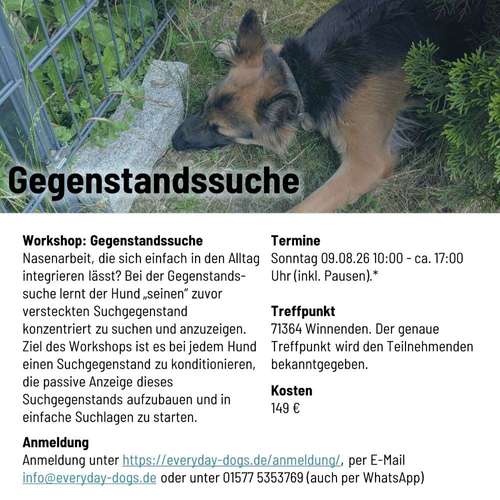Hundeauslaufgebiet-Everyday Dogs Hundetraining-Bild