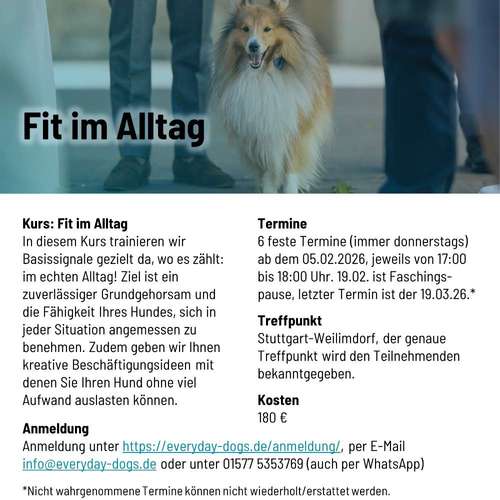 Hundeauslaufgebiet-Everyday Dogs Hundetraining-Bild